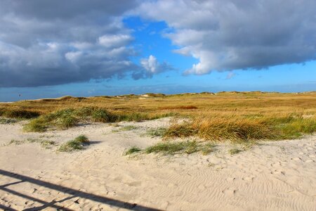 North sea coast nordfriesland