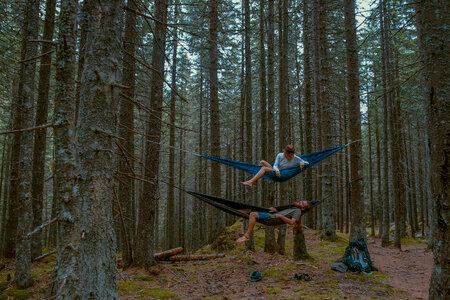 Couple Who Loves to Travel Relaxing in Two Hammocks in the Forest photo