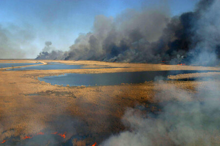 Prescribed Burn - Agassiz National Wildlife Refuge photo