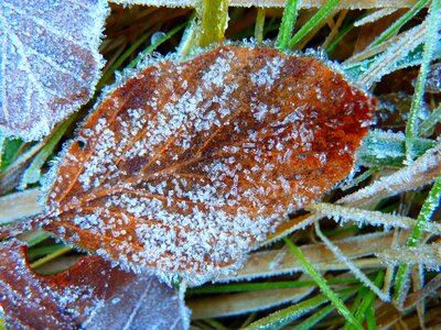 Eiskristalle crystals ice photo