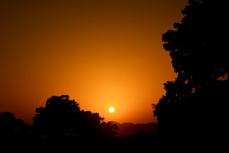 Sunrise silhouette trees photo