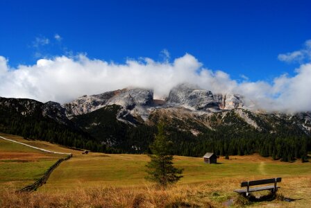 Nature meadows grass