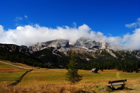 Nature meadows grass photo