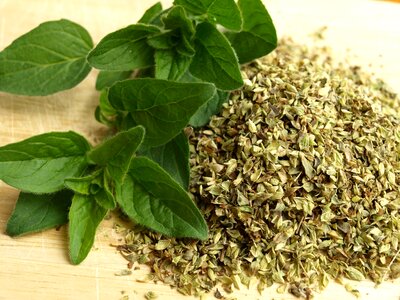 Cook aromatic herbs dry photo
