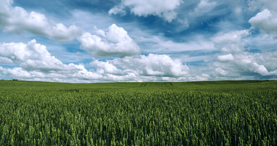 Agriculture landscape under clouds and sky photo