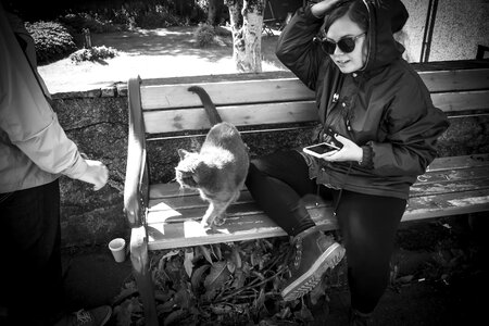 Animal beautiful bench