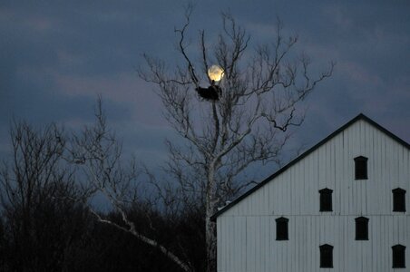 Barn evening full moon