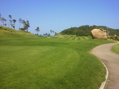 Green grass golfing photo