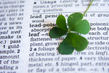 Leaf Dictionary Word