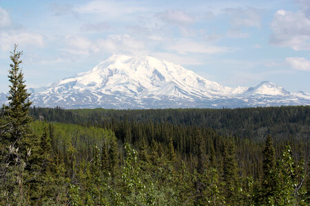 Forest below the snow-capped mountain photo