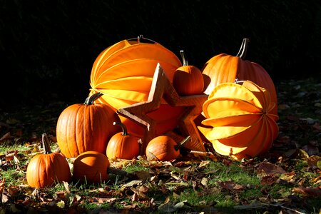 Pumpkins pumpkin autumn decoration