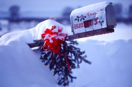 Celebration christmas cold