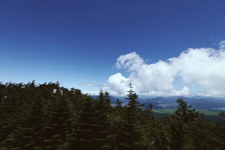 View panorama nature