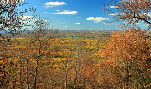 Autumn autumn season blue sky photo