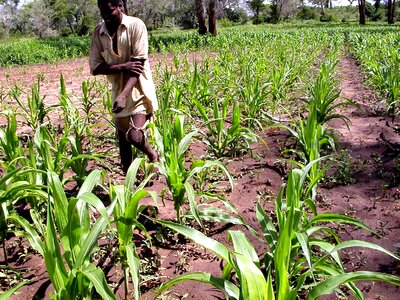 Drought province 