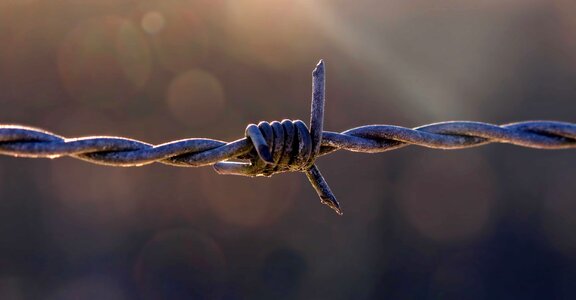 Barbed Wire daylight fence photo