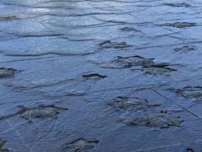 Water leaves blue