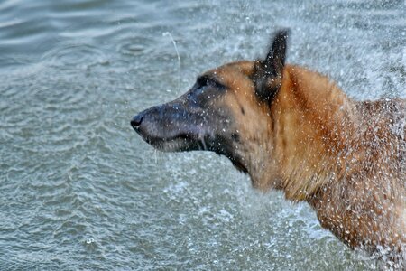 Bathing motion movement photo