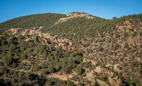 Gila National Forest in New Mexico