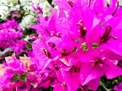 Holiday summer macro