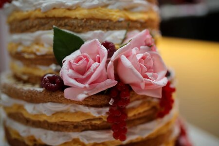 Close-Up pancake baked goods photo