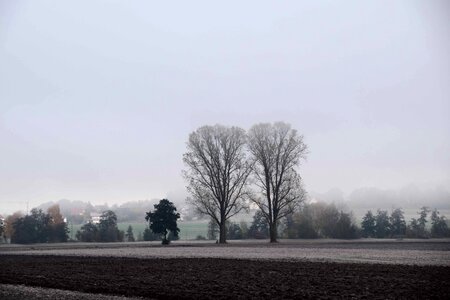 Daylight fog foggy photo