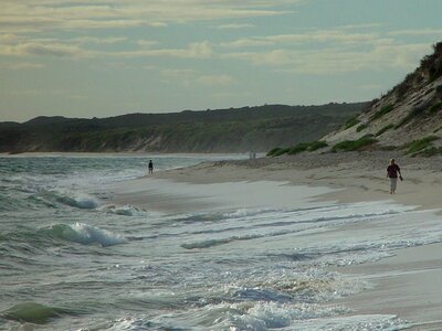 Phylum waves 