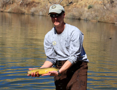 Releasing a Gila Trout photo