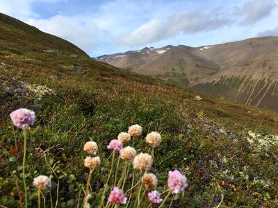 icelandic landscape photo