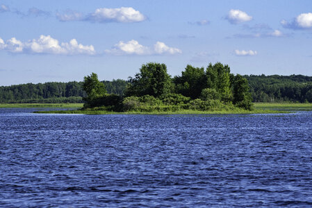 Island with trees in the middle of the lake photo