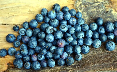 Berries blueberry food photo