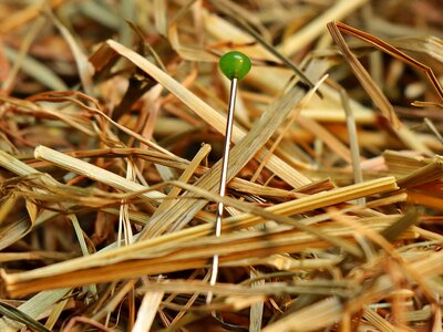 Detail hand tool hay photo