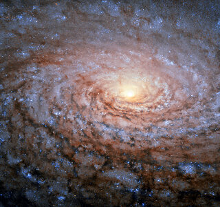 a Galactic Sunflower galaxy photo
