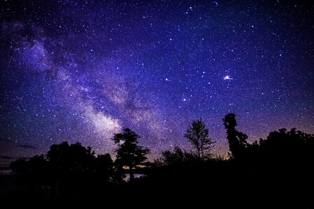 Milky Way above Trees and Sand Dunes photo