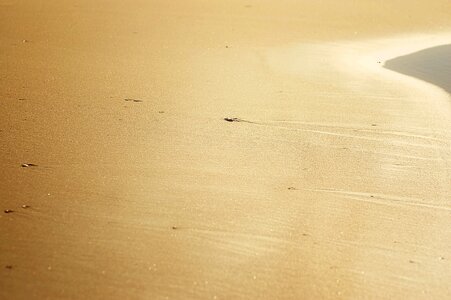 Sun sand dune water