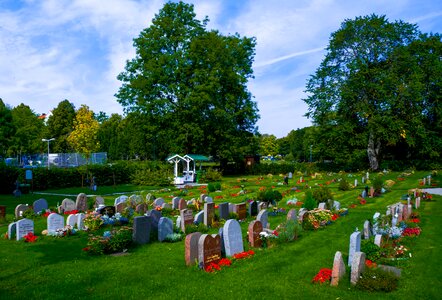 Graveyard outdoors graves