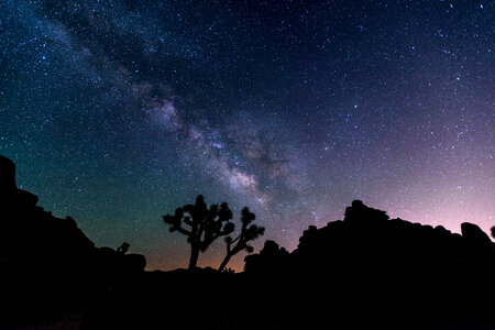Night landscape, trees, and galaxy at Joshua Tree National Park, California photo