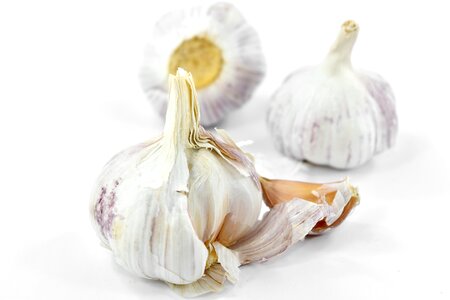 Agriculture aroma garlic