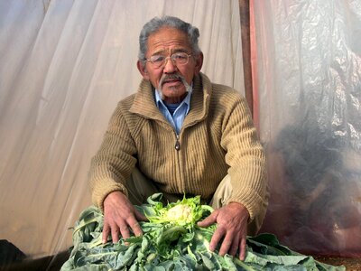 Farmer greenery 