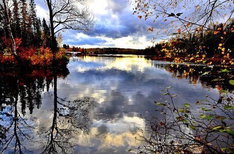 Leaves water lake