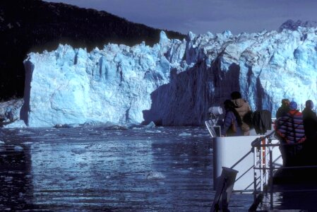 Domestic forest glacier