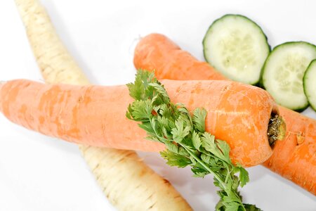 Root ingredients lunch