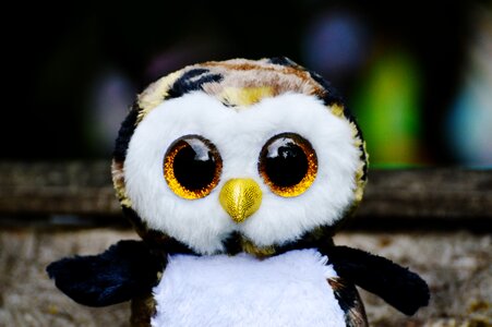 Cute goggle sweet