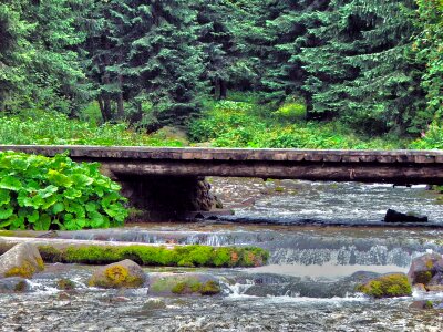 Water river bridge
