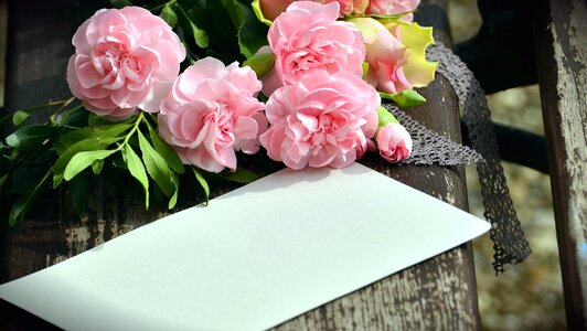 Bench bouquet paper photo