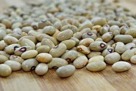 Beans vegetable ingredients