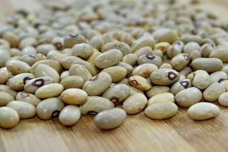 Beans vegetable ingredients photo