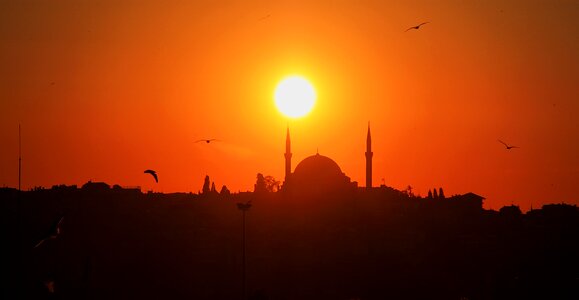Day sunset silhouettes