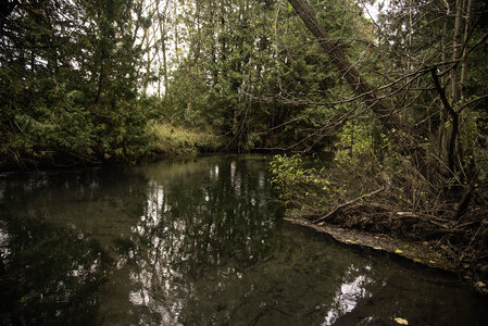 River with trees on the two shores landscape