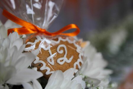 Baked Goods biscuit gingerbread photo